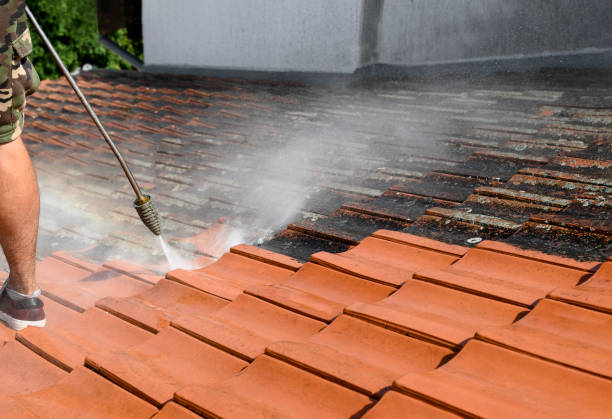 Best Fence Pressure Washing  in Patterson, LA