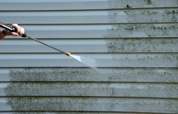 Why Choose Our Certified Pressure Washing Experts for Your Project Needs in Patterson, LA?