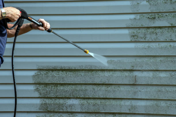 Best Pressure Washing Company Near Me  in Patterson, LA